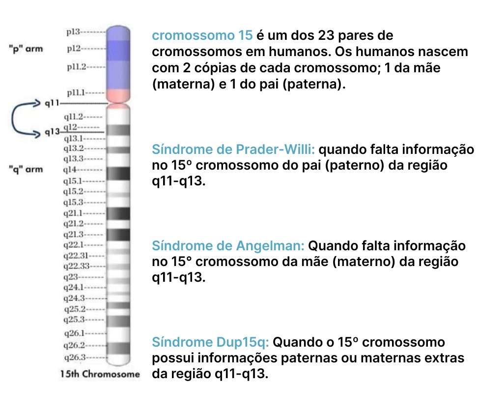 Imagem Síndrome Dup15q